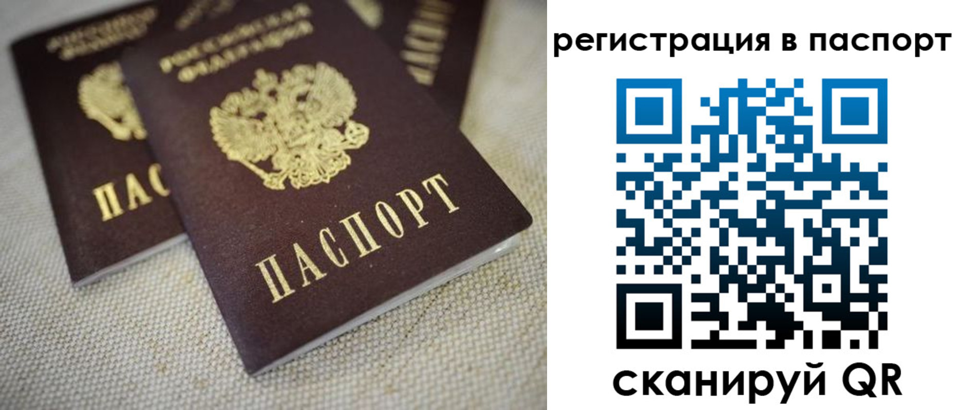 прописка гарантия в Пласте